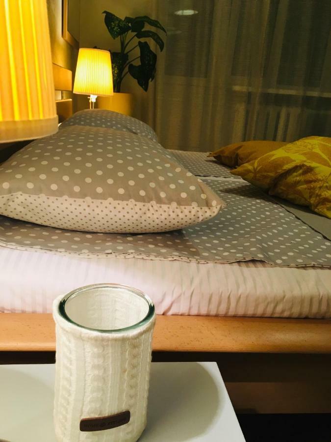 Sunflower Apartment Near Kiev Airport & Railway Station & Center City! Kültér fotó